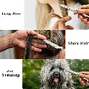 1600-1600-6.webp